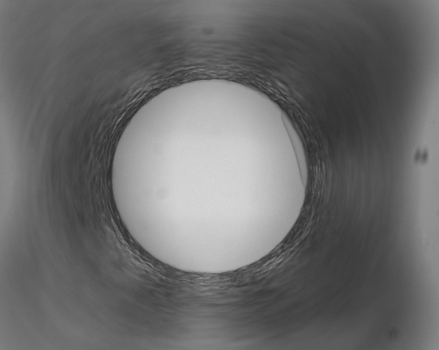 X0000115201345200912091125