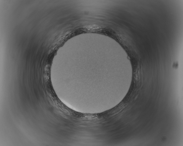 X0000115201346200912091125