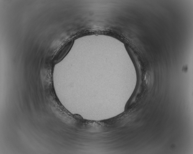 X0000115201348200912091124