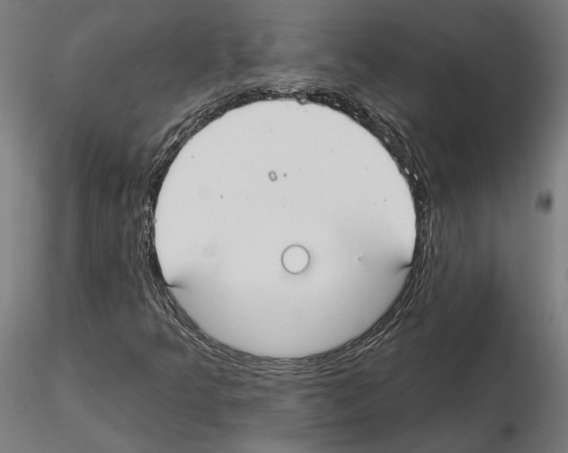 X0000115201349200912091124