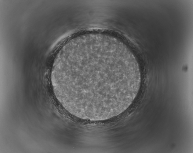 X0000115201351200912091124