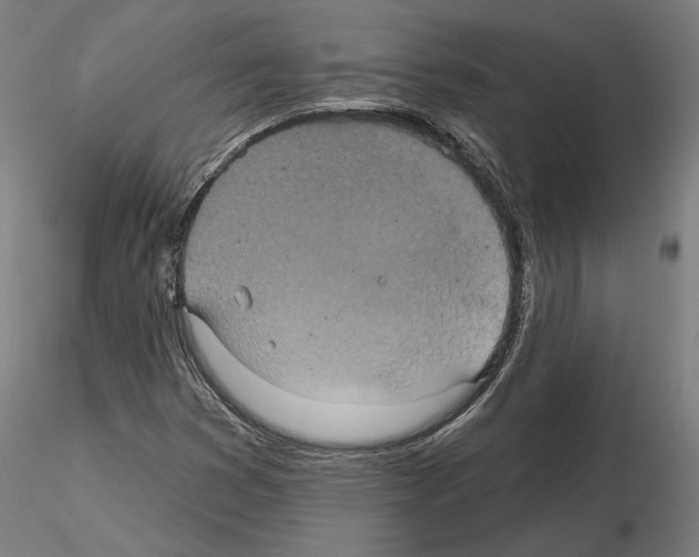 X0000115201353200912091124