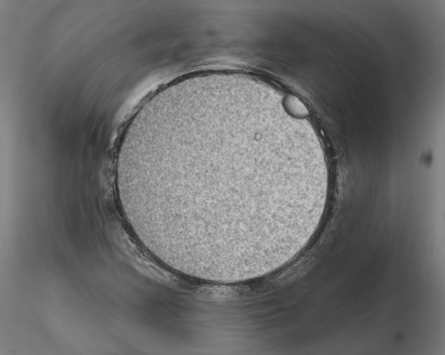 X0000115201355200912091124