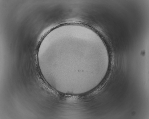 X0000115201358200912091124