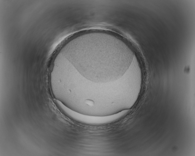 X0000115201360200912091124