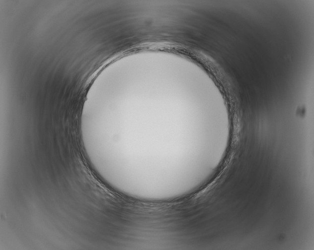 X0000115201361200912091124
