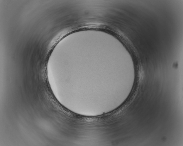 X0000115201362200912091124