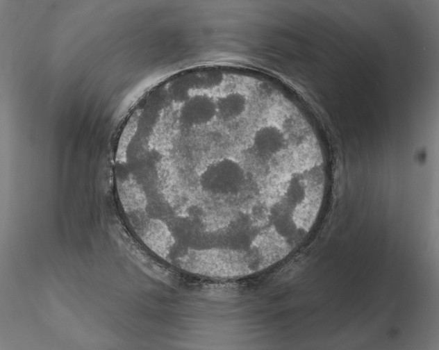 X0000115201363200912091124