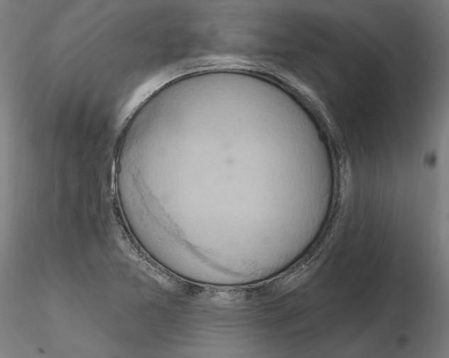 X0000115201365200912091124