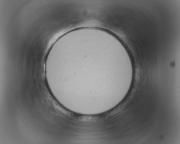 X0000115201366200912091124