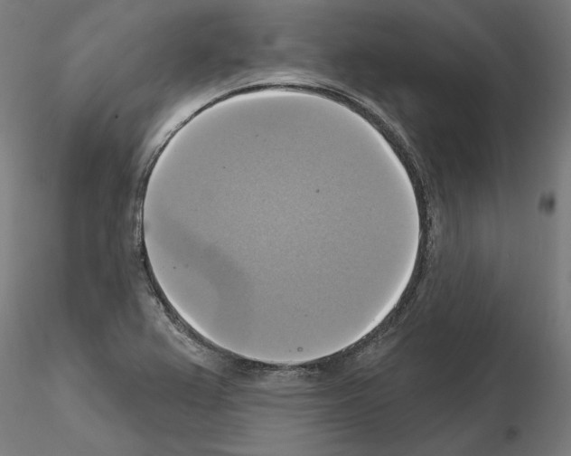 X0000115201367200912091124