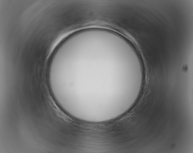 X0000115201368200912091124