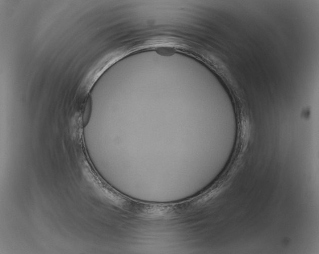 X0000115201369200912091124
