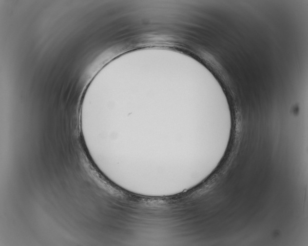 X0000115201370200912091124