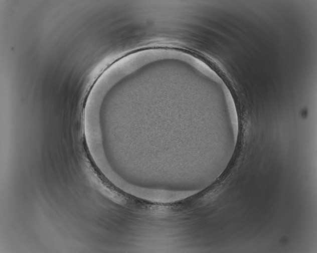 X0000115201371200912091124