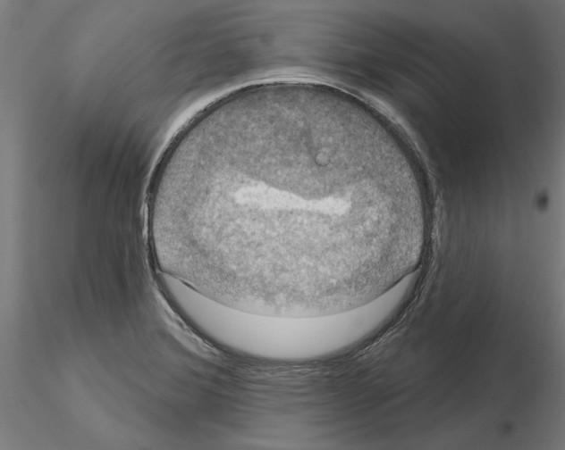 X0000115201372200912091124