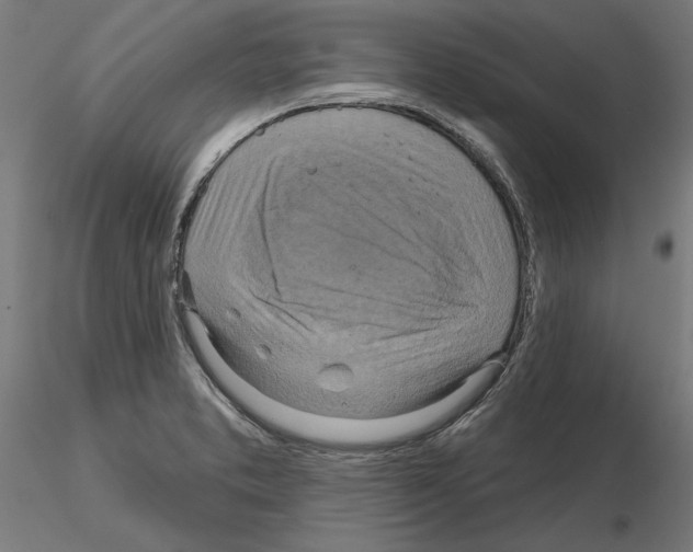 X0000115201373200912091124