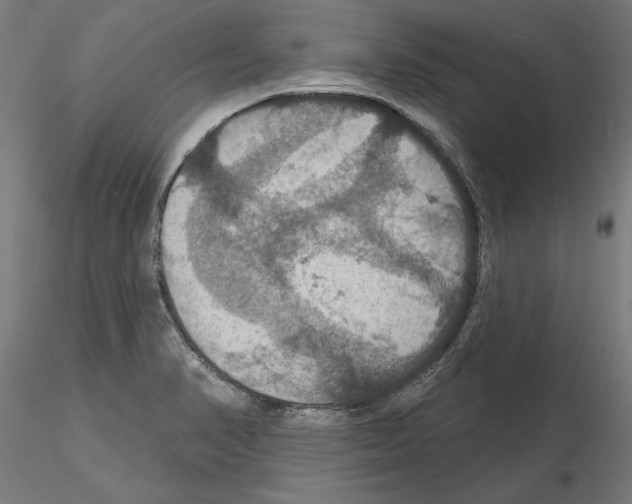 X0000115201374200912091124
