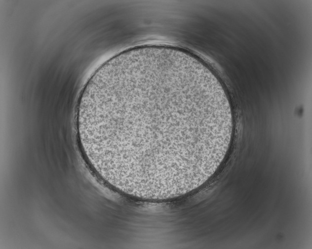 X0000115201375200912091124