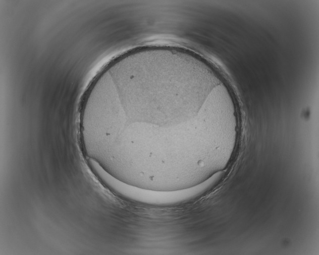 X0000115201376200912091124