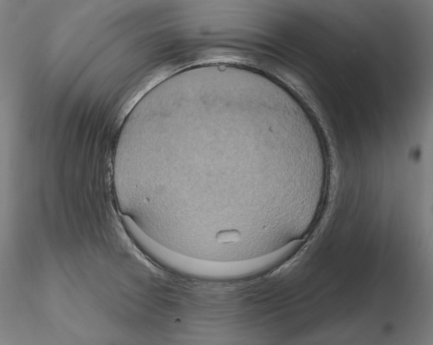 X0000115201377200912091124