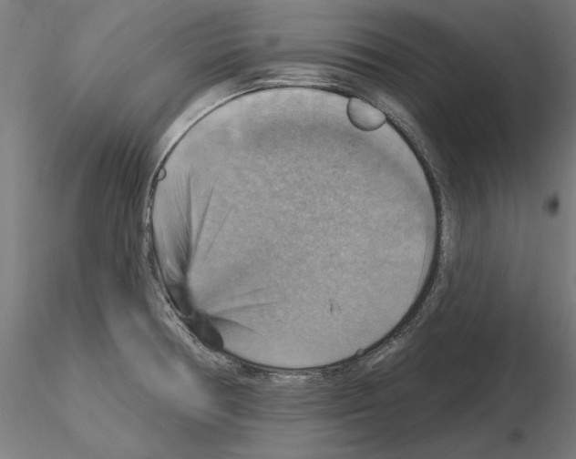 X0000115201378200912091124