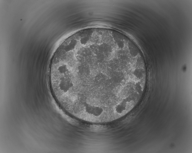 X0000115201379200912091124