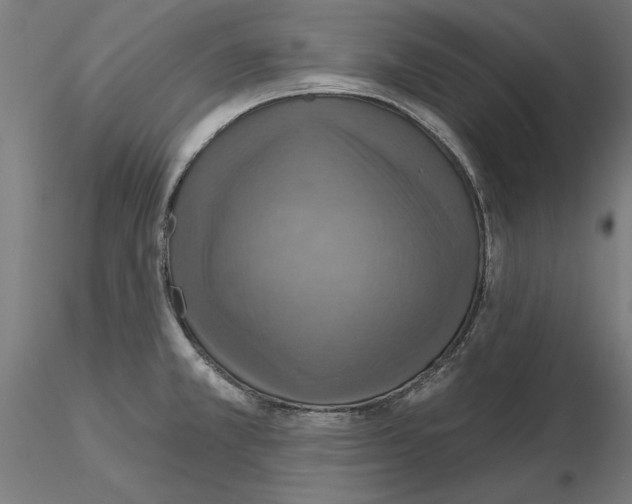 X0000115201381200912091124