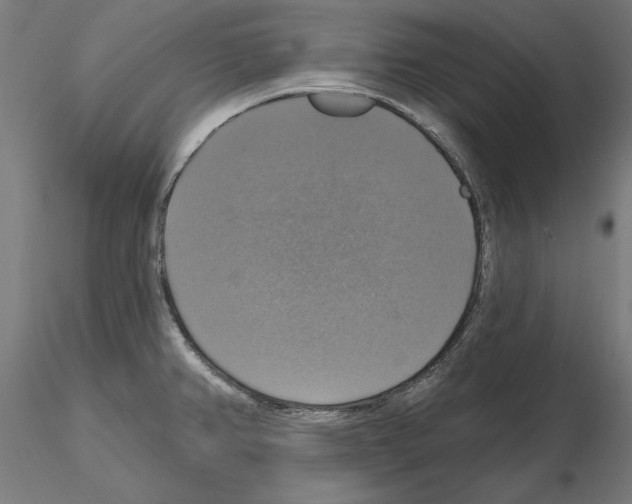 X0000115201382200912091124