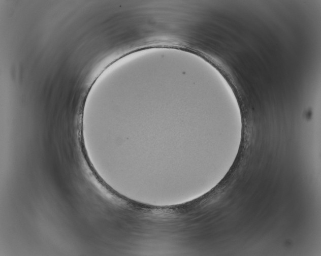 X0000115201383200912091124