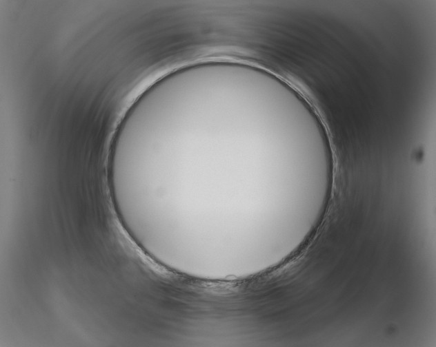 X0000115201384200912091124