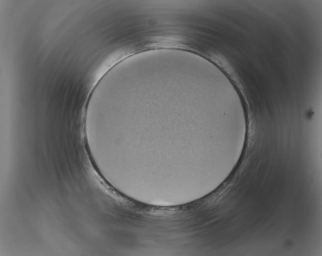 X0000115201386200912091124