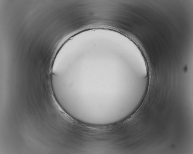 X0000115201388200912091124