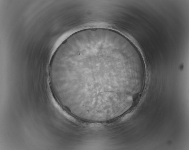X0000115201389200912091124