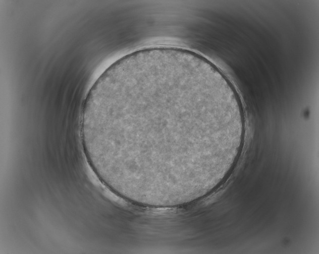 X0000115201390200912091124