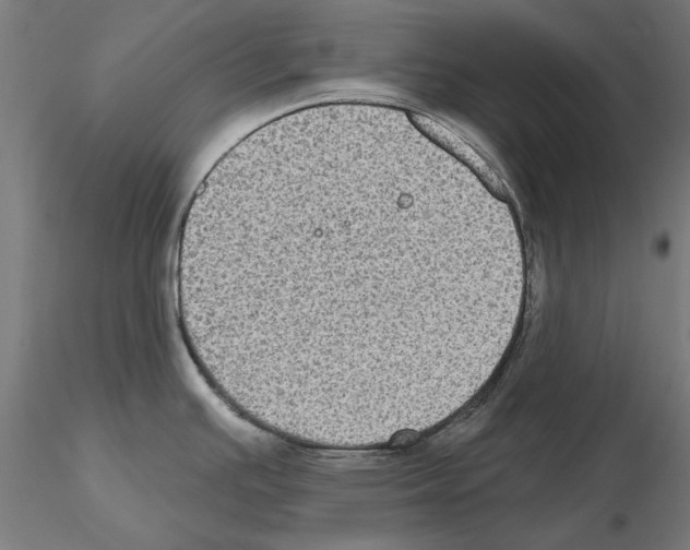 X0000115201391200912091124