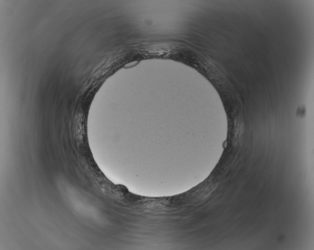 X0000115201394200912091123