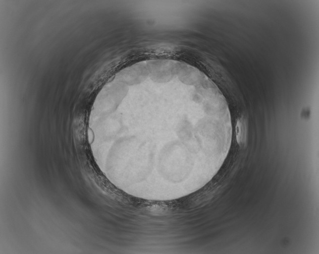 X0000115201395200912091123