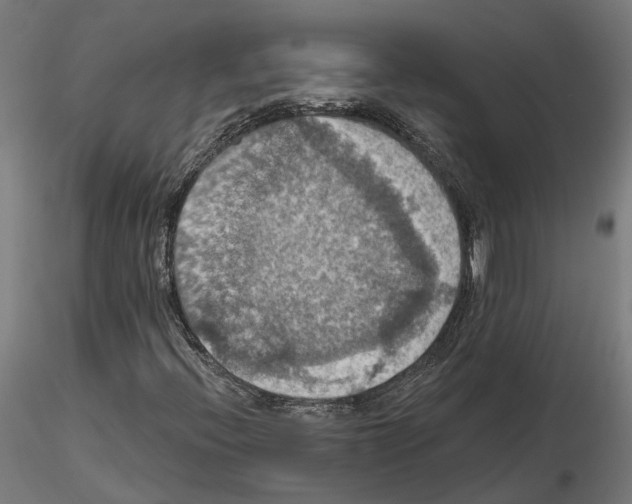 X0000115201396200912091123