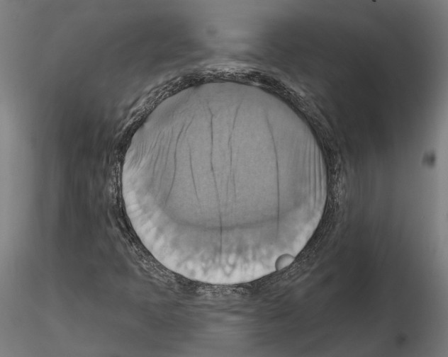X0000115201397200912091123
