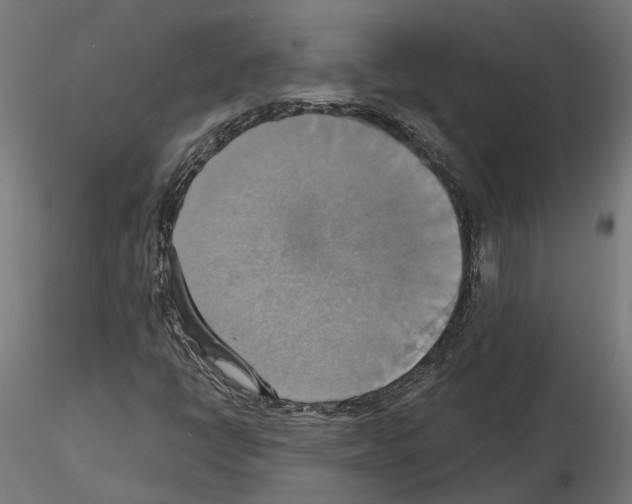 X0000115201398200912091123
