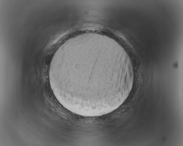 X0000115201399200912091123