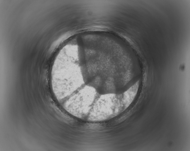 X0000115201402200912091123