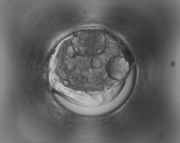 X0000115201405200912091123