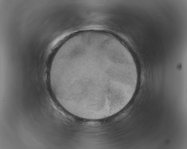 X0000115201406200912091123