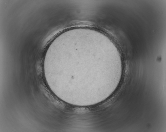 X0000115201407200912091123