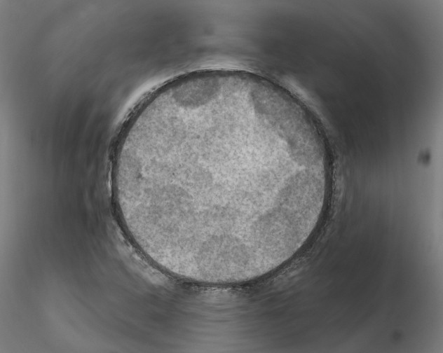 X0000115201408200912091123