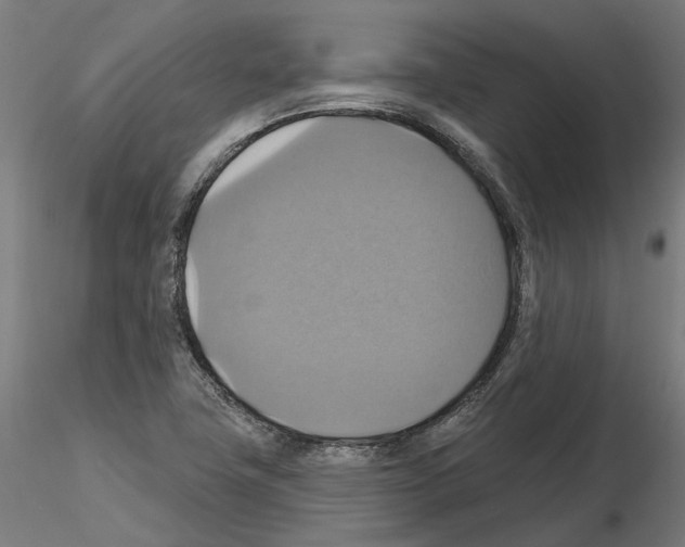 X0000115201411200912091123