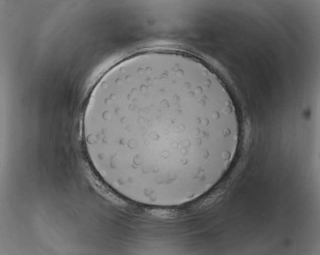 X0000115201413200912091123