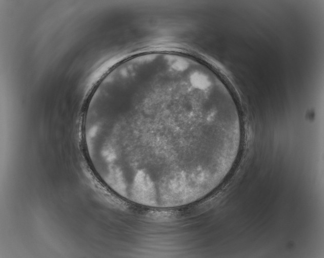 X0000115201415200912091123